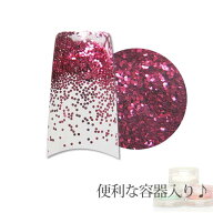 容器入り グリッター ブライトローズ 0.5mm 1g (メール便でも可)
