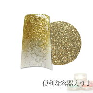 容器入り グリッター ゴールド 0.05mm 1g (メール便でも可)