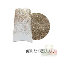 容器入り グリッター シャンパン 0.05mm 1g (メール便でも可)