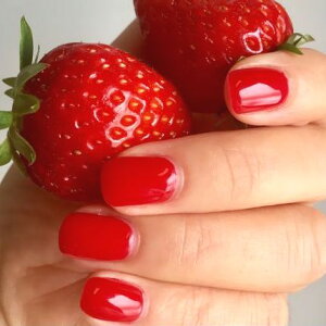 J[lC/bh^ N₩ li  N[ fB[ ςJ[ PF Vv v`v JԂg\邾ȒP֗ lCXg쐬 nhCh