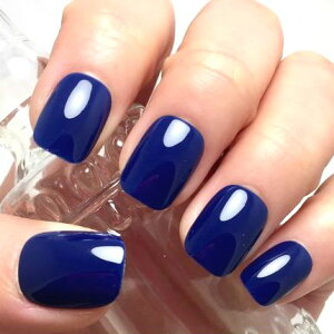 J[lC/u[fB[vu[ [ i VbN }jbV [h ςJ[ PF Vv v`v JԂg\邾ȒP֗ lCXg쐬 nhCh