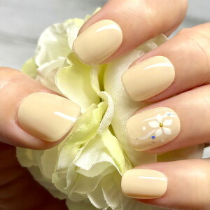 ԃlCӂD x[W  t[ `A[g yCg Vv |Cg igtH[}fC[ItBX JԂg\邾ȒP lCXg쐬 