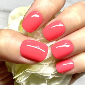 J[lC/lIsNh N₩ |bv ݊  fC[ ig PF Vv v`v JԂg\邾ȒP֗ lCXg쐬 nhCh 