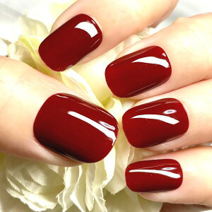 J[lC/{h[GW Vv PF fC[ ig  O}X v`v  JԂg \邾ȒP֗ lCXg쐬 nhCh l