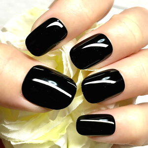 J[lC/ubN Vv PF fC[ ig ItBX  N[ v`v  JԂg \邾ȒP֗ lCXg쐬 nhCh l