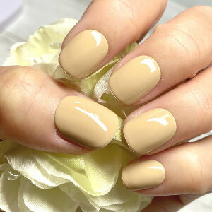 J[lC/x[Wŋi` k[fB[ Ȃ i fC[ ig PF Vv v`v JԂg\邾ȒP֗ lCXg쐬 nhCh 