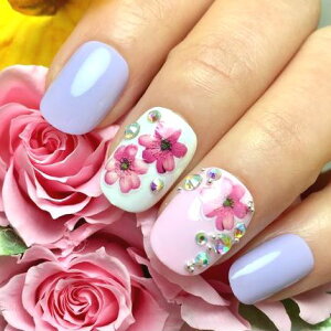 t[lCpXesN p[v ӂJ[ XEB[gJ[ ԕ  I[Xg[ rW[ LL tXvO K[[ JԂg\邾ȒP֗ l