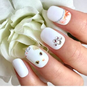 LlCzCg  J[ Lbg ˂ lR rW[ ڂ { L[g u[ 킢 JԂg\邾ȒP֗ lCXg쐬 nhCh 