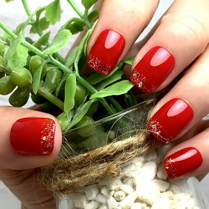 Vvt`/bhbh×S[hz Ob^[ Vv VCj[ LL J[ fC[igv`v JԂg\邾ȒP֗ lCXg