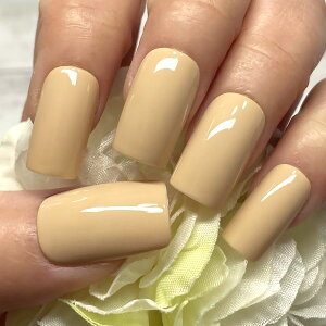 J[lC/x[WȂ݃J[ CG[x[W Vv PF fC[ ItBX l i k[fB[ JԂg \邾 ȒP֗ lCXg쐬 nhCh 