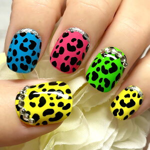 h背Ip[hlClIJ[ ςJ[ tt` N₩ rW[ LL  Aj} qE `A[g yCg JԂg\邾ȒP lC