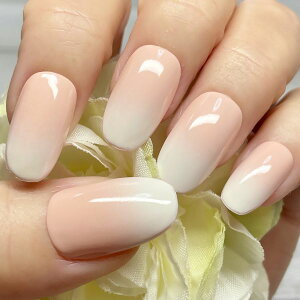 xCr[u[}[lC/sNx[WGA[ GAOf t` ӂ _炩 Of[Vt` Ԃ F Of Vv i` tH  