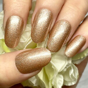 J[lC/x[WVCj[ Vv PF fC[ tH[} LL  i v`v  JԂg \邾ȒP lCXg쐬 nhCh 