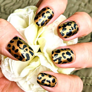 ΌIp[hlCuYuÊ悤ȃS[ĥ悤ȃO[̂悤ȊpxɂĐFςJIJ[ qE Aj} N[ JԂg\邾ȒP 