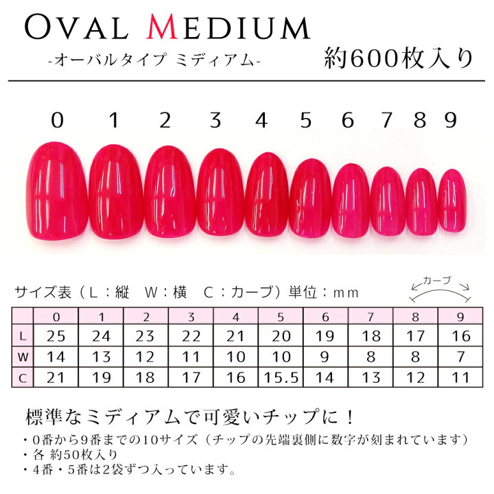 最大93%オフ! ネイルチップ クリア ベリーショート 約600枚 10サイズ ジェルネイル デコ つけ爪 フルカバー toolyselectiv.com 最大93%オフ! ネイルチップ クリア ベリーショート 約600枚 10サイズ ジェルネイル デコ つけ爪 フルカバー toolyselectiv.com