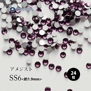 i[ցjPRECIOSAivVITjFCXg[^AWXgiSS6j24tbgobN `FRCXg[