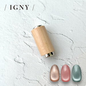 i[ցjIGNYFEbhObv }Olbgbhi΁j IG067iCOj[j