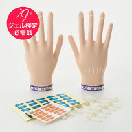 【取り寄せ】STモデルハンド セット（JNEC認定モデルハンド）