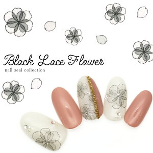 yzN[|zzz12/4i؁j19Jn lCV[ ubN[Xt[V[ [TS-030] WFlC