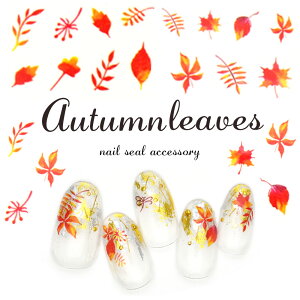 gtlCV[ [M+012] lCV[ EH[^[lCV[ Ƃ gt ݂ [t t lCA[g ZtlC WFlC