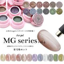 全色セット 超微粒子5ミクロン マグネットネイル irogel MGシリーズ vol.4 全12色セット 約3g入り 黒くなりにくい カラージェル ジェルネイル