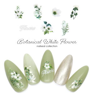 yzN[|zzz12/4i؁j19Jn lCV[ {^jJzCgt[V[ [KO820] WFlC