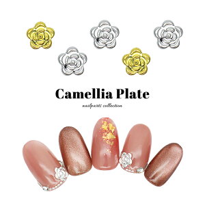 yzN[|zzz12/4i؁j19Jn lCp[c JAv[gp[c [S[h /Vo[ ] 15 WFlC