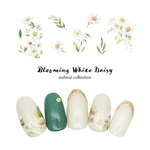 �l�C���V�[�� �u���[�~���O�z���C�g�f�C�W�[�V�[�� �Z���t�l�C�� �W�F���l�C��