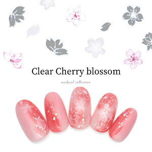 lCV[ NA`F[ubTV[ [TS-620] ZtlC WFlC