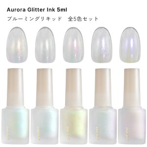 5�F�Z�b�g ink01-ink05 irogel �u���[�~���O���L�b�h �I�[�����O���b�^�[�C���N �e��5ml���� �W�F���l�C�� �j���A���X�l�C��