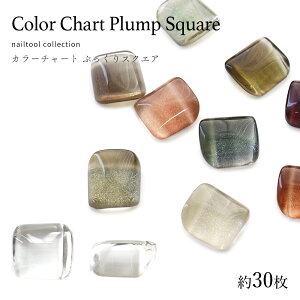 lCc[ J[`[g J{V ՂXNGA 30@ZtlC WFlC