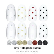 ネイルアート タイニーホログラム パウチ入り 約1.5mm 全8種 ジェルネイル
