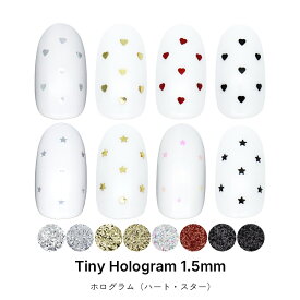 ネイルアート タイニーホログラム パウチ入り 約1.5mm 全8種 ジェルネイル