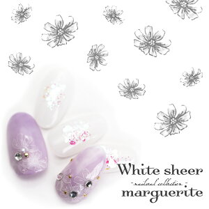 lCV[ zCgVA[}[KbgV[ [CC-033] ZtlC WFlC