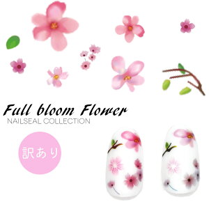 [󂠂] lCV[ tu[t[V[ [F245] ZtlC WFlC