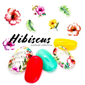 EH[^[lCV[[^Cv] nCrXJXV[ [DS-389] lCV[ ZtlC WFlC