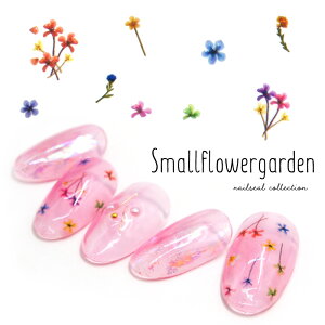 lCV[ X[t[K[fV[ [HANYI-346] ZtlC WFlC