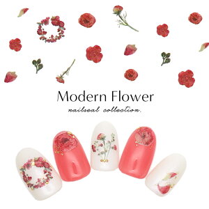 yzN[|zzz12/4i؁j19Jn lCV[ _t[V[[MG200408-09] WFlC