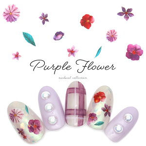 30OFFN[|zzIubNtCf[ EH[^[lCV[ p[vt[V[ [A1244] ZtlC WFlC