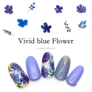 yzN[|zzz12/4i؁j19Jn lCV[ rrbhu[t[V[ lC [W569] WFlC