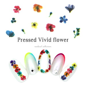 lCV[ ԕrrbht[V[[814] ZtlC WFlC