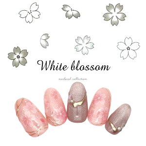 lCV[ zCgubTV[ [TS-473] ZtlC WFlC