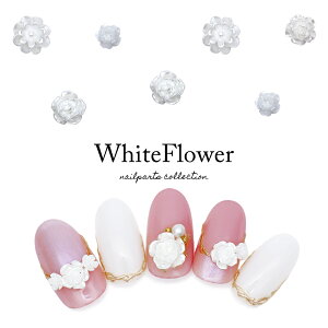 yzN[|zzz12/4i؁j19Jn lCp[c zCgt[p[c 10 S4 WFlC