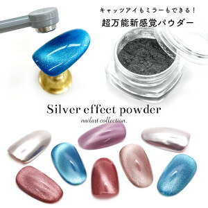 ネイルアート シルバーエフェクトパウダー マグネットパウダー キャッツアイパウダー ミラーパウダー セルフネイル ビー玉ネイル ジェルネイル マグネットネイル
