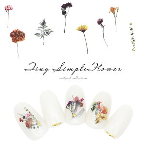 lCV[ ^Cj[Vvt[V[ [MG20424-70] ZtlC WFlC