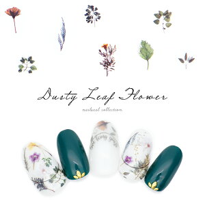 lCV[ _XeB[[tt[V[ [MG20506-34] ZtlC WFlC