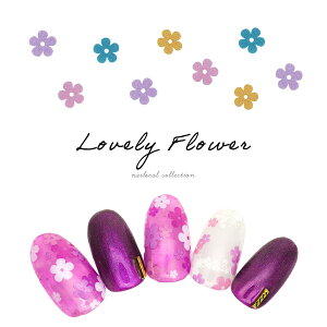 yzN[|zzz12/4i؁j19Jn lCV[ u[t[V[ [MG180501-50/51] S2F WFlC