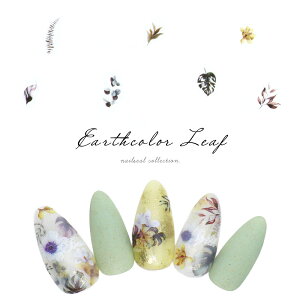 lCV[ A[XJ[[tV[ [MG20515-01]@ZtlC WFlC