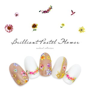 yzN[|zzz12/4i؁j19Jn lCV[ uAgpXet[V[ [F434] WFlC