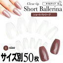 12/4スーパーSALE★最大50%OFFクーポン★【 ショートバレリーナ / サイズ別 ばら売り 】メール便可 ばら 単品 バレリ…